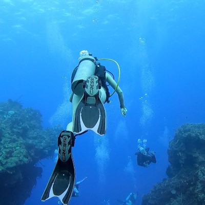 Woman scuba diving at the back of a group.